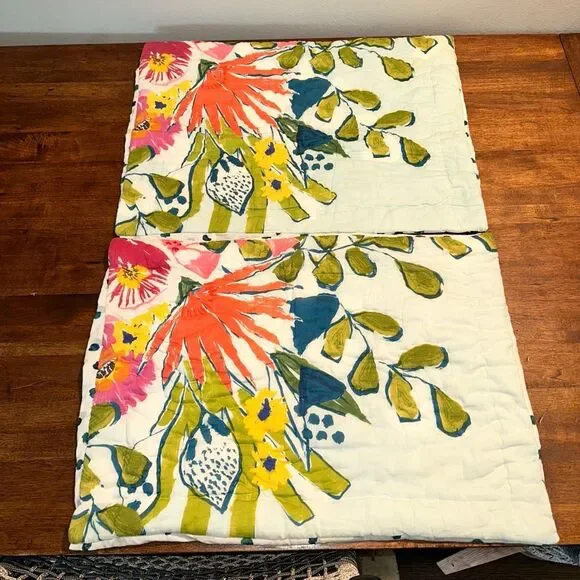 Anthropologie Pillow Sham Set (2) 20 x 26 - Picture 1 of 3